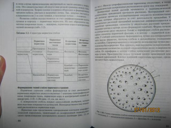 Зайчикова, Барабанов: Ботаника. Учебник