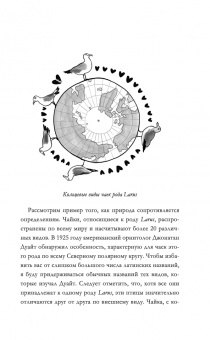 Марти Джопсон: Всё о человеке за 60 минут