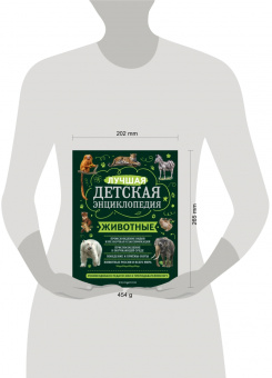 Юлия Школьник: Животные