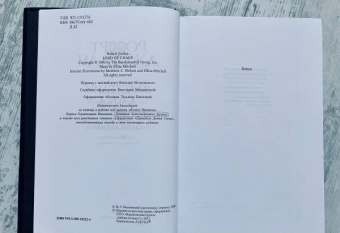 Роберт Джордан: Колесо Времени. Книга 6. Властелин хаоса