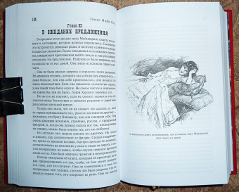 Рид Майн: Желтый вождь