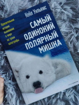 Кейл Уильямс: Самый одинокий полярный мишка