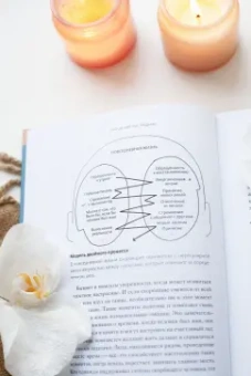 Леон Виндшайд: Что делает нас людьми. Как понимать свои эмоции и принимать их