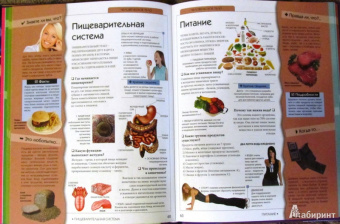 Симона Ратто: Моя первая книга вопросов и ответов