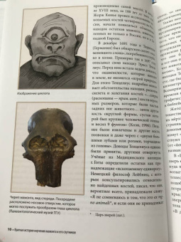 Андрей Шпанский: О мамонтах и их спутниках. Палеоэкология мамонтовой фауны