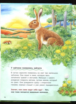Фридерун Райхенштеттер: Как живут кролики и зайцы. Познавательные истории