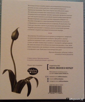 Энн Свон: Ботаническая иллюстрация цветными карандашами. Пошаговое руководство