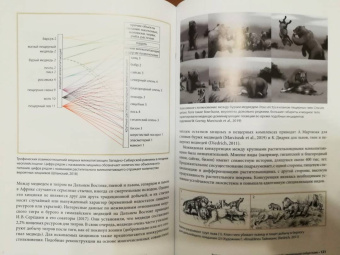 Андрей Шпанский: О мамонтах и их спутниках. Палеоэкология мамонтовой фауны