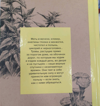 Урсула Штумпф: Травы. Природный источник жизненной силы