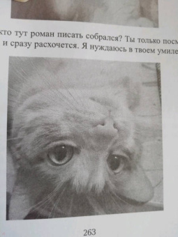 Нина Линдт: Кот, Домовой и Василий Иванович