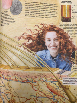 Маркус Джонсон: Тело человека. Виртуальная реальность