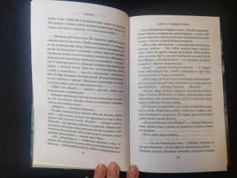 Семенова, Гурова: Аратта. Книга 6. Черные крылья