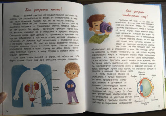 Толмачев, Маницкая: О человеке
