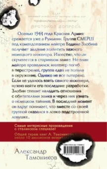 Александр Тамоников: Башни немецкого замка