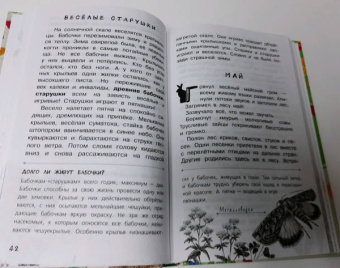 Николай Сладков: Лесные тайнички