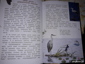 Василий Вишневский: Наши птицы. Определитель для детей