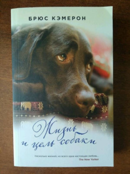 Брюс Кэмерон: Жизнь и цель собаки