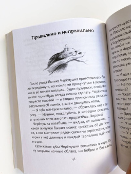 Ольга Павлова: Повесть о речных королях