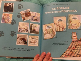 Ронан Бадель: Кот Пончик. Мохнатое семейство