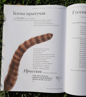 Барт Россел: Поразительные насекомые. Книга про подземных математиков, мастеров блефа, дружных кочевников, зомби