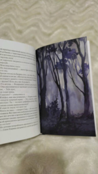 Леа Стенберг: Реннвинд. Проклятие дня