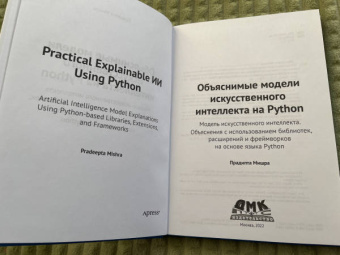 Прадипта Мишра: Объяснимые модели искусственного интеллекта на Python. Модель искусственного интеллекта