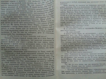 Гюстав Флобер: Госпожа Бовари