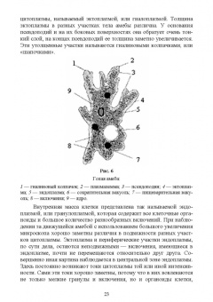 Блохин, Блохина: Практикум по зоологии. Учебное пособие для вузов