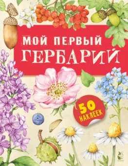 Ксения Дудова: Мой первый гербарий