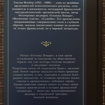 Гюстав Флобер: Госпожа Бовари