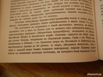 К. Келлер: Жизнь моря