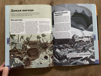Сьюзен Мартино: Реальные катастрофы. Что случилось на самом деле?