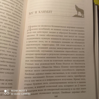 Петер Воллебен: Тайные связи в природе