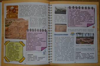 Анна Спектор: История