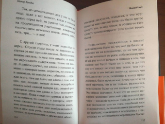 Петер Хандке: Второй меч