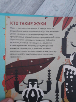 Оуэн Дэйви: Без ума от жуков
