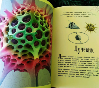 Бен Хоар: Чудеса природы. Энциклопедия