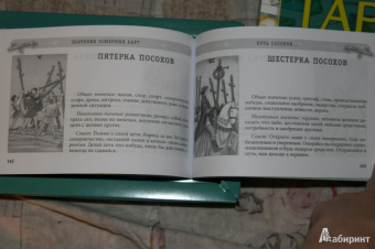 Солодилова (Преображенская) Алена Николаевна: Предсказательная практика Таро (78 карт + брошюра)