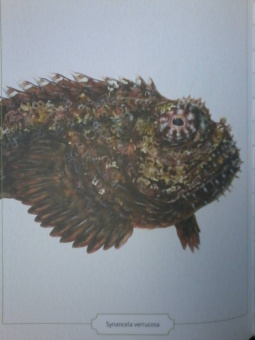 Сэми Бэйли: Энциклопедия опасных животных