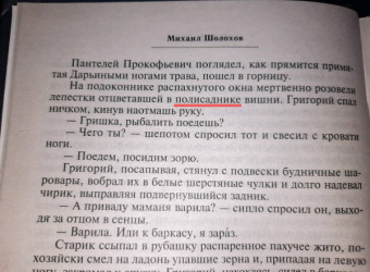 Михаил Шолохов: Тихий Дон (комплект из 2-х книг)