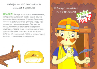 Ю. Соколова: Правда или нет? Что из чего