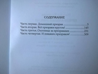 Наталья Колесова: Призрачный роман