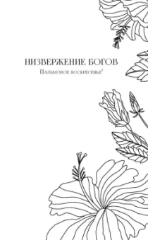 Чимаманда Адичи: Лиловый цветок гибискуса