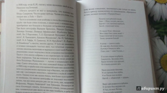 Игорь Северянин: Уснувшие весны. Критика. Мемуары. Скитания