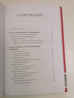 Патрик Ленсиони: Пять пороков команды:  практика преодоления. Программа для лидеров, менеджеров и модераторов