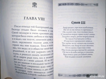 Данте Алигьери: Новая жизнь