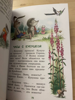 Ирина Антонова: Колючий, ушастый, а главное - зубастый