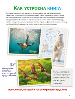 Лепим из пластилина летучую мышь, тюленя, белого медведя