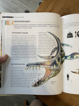 Наталья Воробьева: Динозавры. Иллюстрированная энциклопедия древних ящеров от триаса до мела