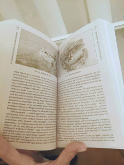 Кулинарная книга выживальщика